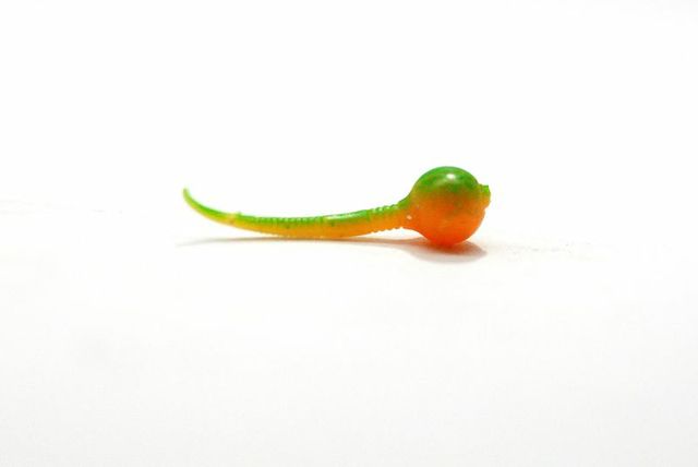 Ripper Rats Small